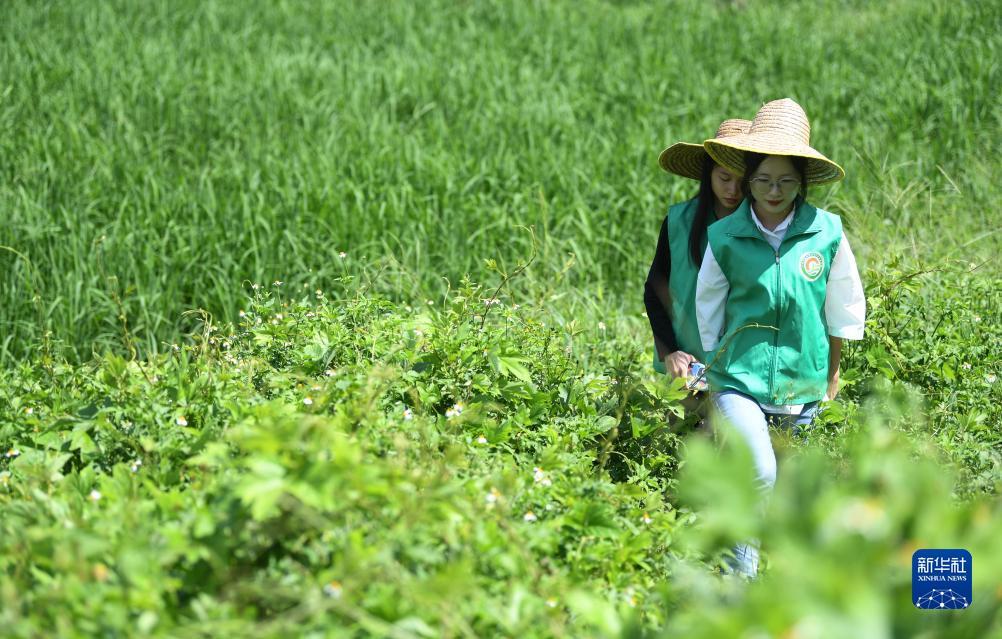 开户注册白菜大全